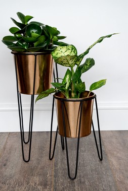 Pianta Stand In Black H25cm D17cm &pound;14.99 2