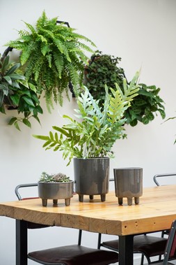Pisa Slate Planter H19cm D16cm &pound;29.99