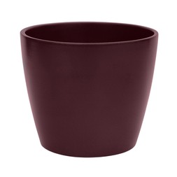 Poinsettia Planter Bordeaux H13cm D14.5cm &pound;3.99