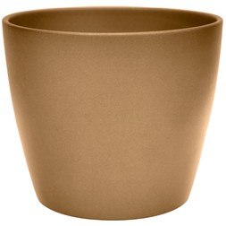 Poinsettia Planter Brushed Gold H12cm D13cm &pound;7.99, H14cm D15cm &pound;9.99, H16cm D17.5cm &pound;12.99, H17cm D20cm &pound;15.99