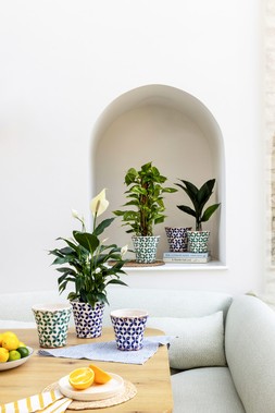 PORTO TILE TAPERED PLANTERS in BLUE & GREEN £14.99. - £24.99