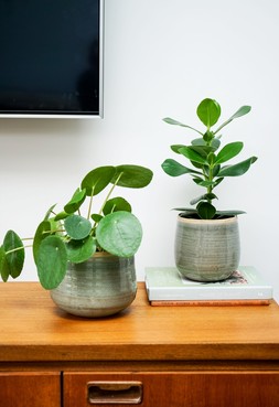 Pot Como Mint H15cm D18cm &pound;19.99, Pot Como Mint H12cm D14cm &pound;9.99