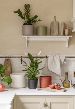 Prague Planter Cayenne H19.5cm D22cm &pound;19.99, Prague Planter Olive H18cm D20cm &pound;16.99, Prague Planter Anthracite H13cm D13cm &pound;5.99, Prague Planter Cotton H24cm D28cm &pound;29.99, Prague Planter Taupe H19.5cm D22cm &pound;19.99