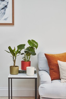 Prague Planter Cayenne H14.5cm D16cm &pound;8.99, Prague Planter Olive H14.5cm D16cm &pound;8.99, Prague Planter Cotton H14.5cm D16cm &pound;8.99
