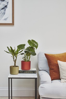 Prague Planter Olive H14.5cm D16cm &pound;8.99, Prague Planter Cayenne H14.5cm D16cm &pound;8.99