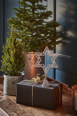 Rigel Star Tree Topper Silver &pound;12.99