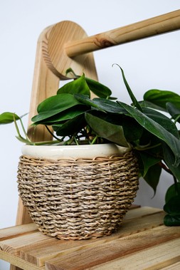Seagrass Pot Cover Natural 14cm &pound;9.99