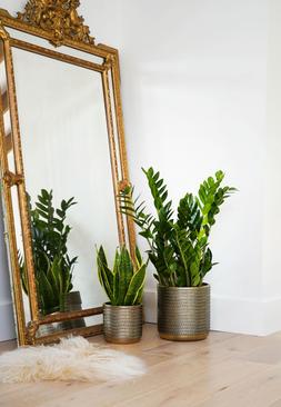 Solis Embossed Planter Gold H18cm D18cm &pound;29.99
