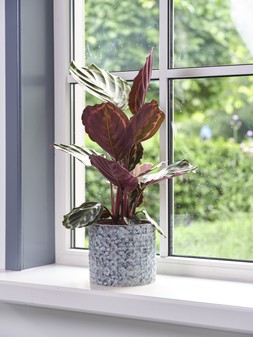 TERNI PLANTER DENIM 18CM &pound;21.99