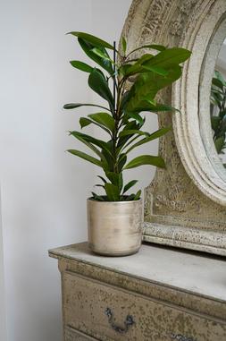 Tivoli Planter White Gold H15cm D17cm &pound;14.99