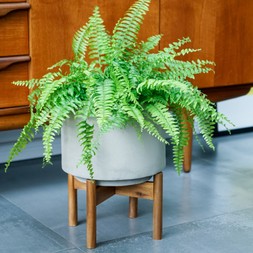 Vigo Concrete Grey Planter With Stand 22cm &pound;39.99