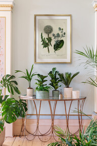 https://az.prshots.es/contents/archives/3698/1568/images/thumb350x287_auto/ivyline-kew-stoneware-sago-palm-planters-in-ivory-olive-17.99-29_44fa2_thumb.jpg
