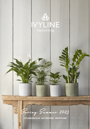 Ivyline - SS23