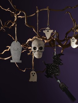 1304 HC HALLOWEEN 2026 11.05.2631855