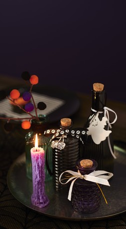 1304 HC HALLOWEEN 2026 11.05.2631919