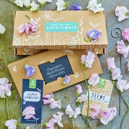 Birth Flower April