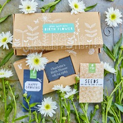NOVEMBER BIRTH FLOWER GIFT BOX