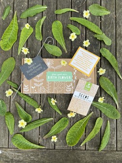 February Birth Flower Gift Box
