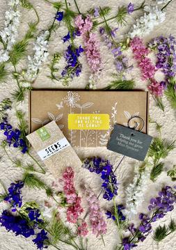 Thank You Teacher Growing Gift