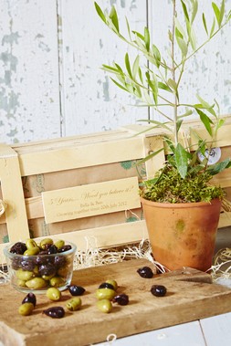 5th Wedding Anniversary Personalised Olive Tree Gift
