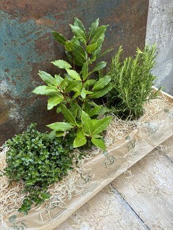 BBQ Birthday Herb Garden