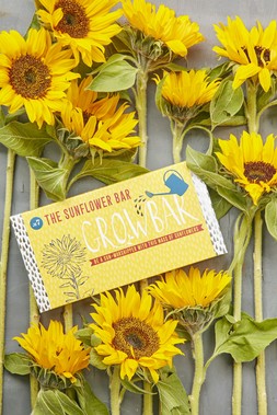 The Sunflower Growbar