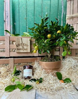 Marmalade Lover's Crate
