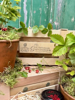 The Wild Strawberry Crate