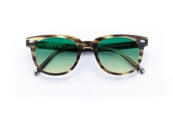 HOY OLIVE STRIPE Lenses Lagoon Haze