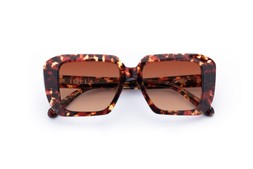 Morven Dark Tortoise Lenses Sienna Sunset £85
