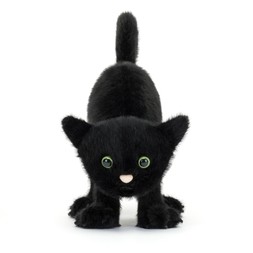 Spookipaws Cat £30