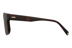 Barbour BAS-3106 Square Tort & Gold Men's Sunglasses