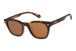 Superdry 5043 Tortoise/Green/Brown Sunglasses