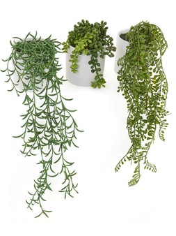 Very Home Set of 3 Trailing Faux Plants in White Ceramic Pots £28