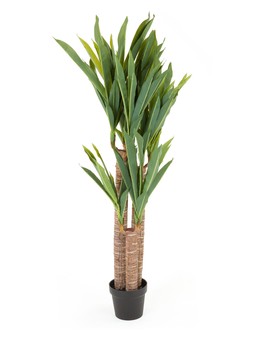WJQLV The Very Collection 120cm Triple Stem Faux Yucca £85