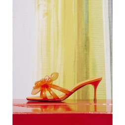 Perspex Flower Mule Sandal