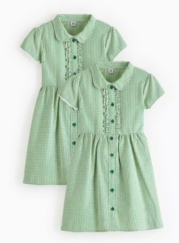 Tu-2 Pack Classic Green Back Bow Gingham Dress2
